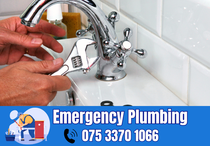  plumber Snodland