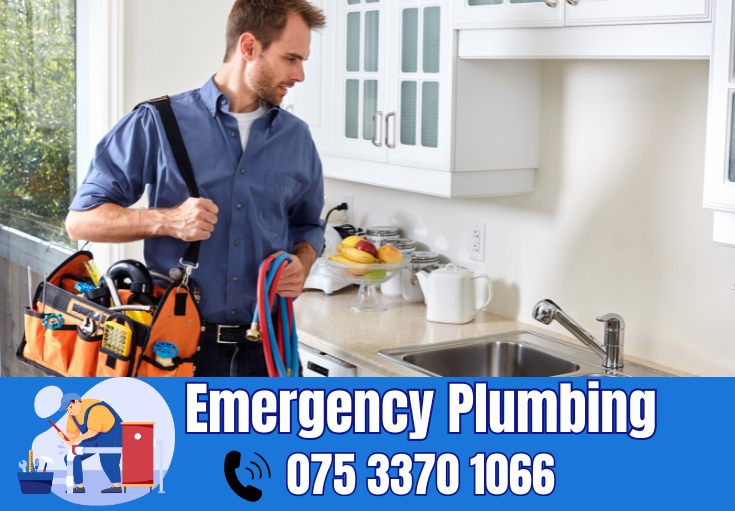 plumber Leybourne