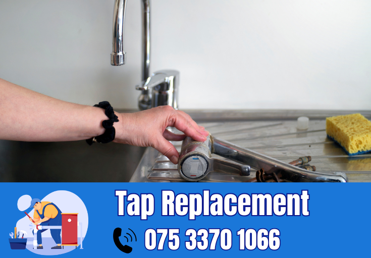 tap repair and replacement Aylesford